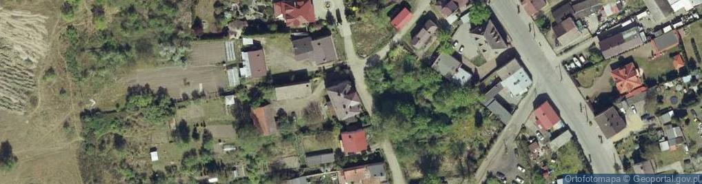 Zdjęcie satelitarne Towarzystwo Przyjaciół Witnicy
