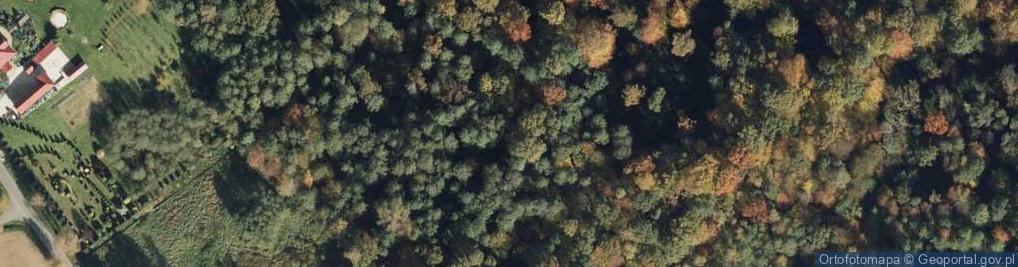 Zdjęcie satelitarne Tozyma