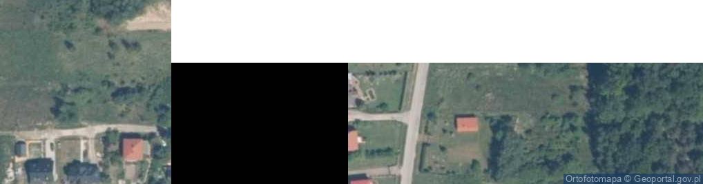 Zdjęcie satelitarne Trans Auto