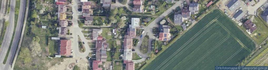 Zdjęcie satelitarne Trans Falcon Patryk Kamiński