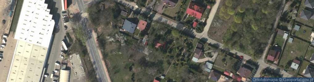 Zdjęcie satelitarne Trans Forwarding