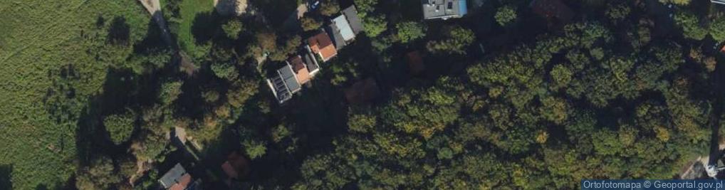 Zdjęcie satelitarne Trans-Goł Krzysztof Kobylarz