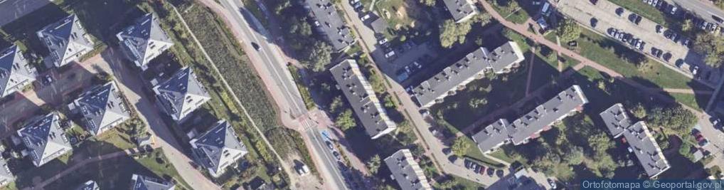 Zdjęcie satelitarne Trans Mar