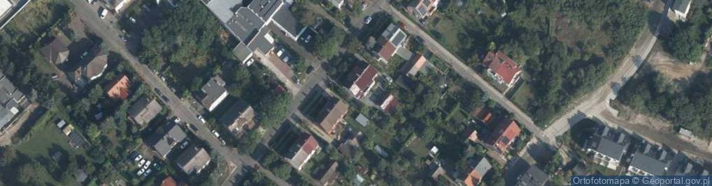 Zdjęcie satelitarne Trans-Word Julia Liszkowska