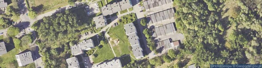 Zdjęcie satelitarne Transbert - Robert Waleska