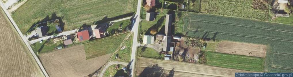 Zdjęcie satelitarne Transport Drewna Dłużycy