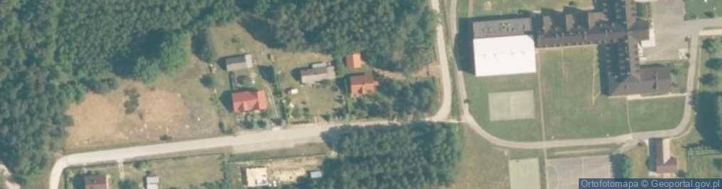 Zdjęcie satelitarne Transport Drewna