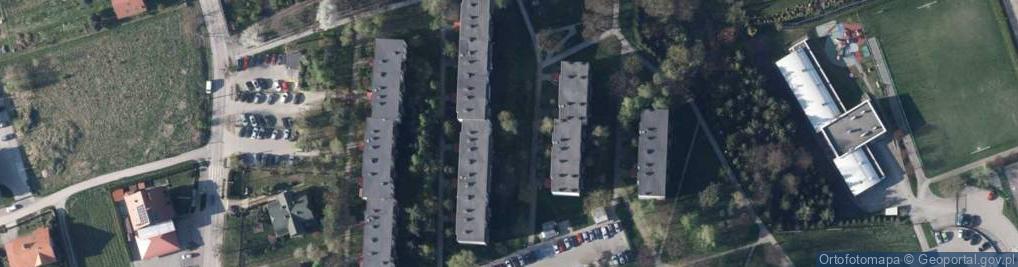 Zdjęcie satelitarne Transport Drogowy