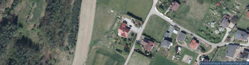 Zdjęcie satelitarne Transport Osobowy Horyzont