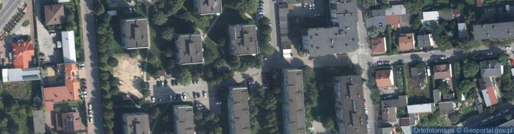 Zdjęcie satelitarne Transport Osobowy