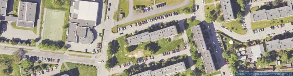 Zdjęcie satelitarne Transport Osobowy