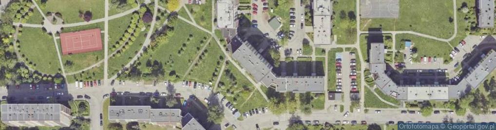 Zdjęcie satelitarne Transport Osobowy