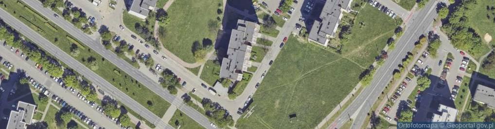 Zdjęcie satelitarne Transport Osobowy