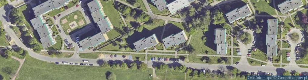 Zdjęcie satelitarne Transport Osobowy