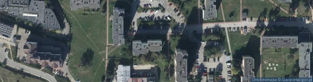 Zdjęcie satelitarne Transport Osobowy