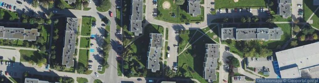 Zdjęcie satelitarne Transport Osobowy