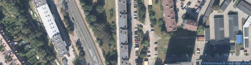 Zdjęcie satelitarne Transport Osobowy
