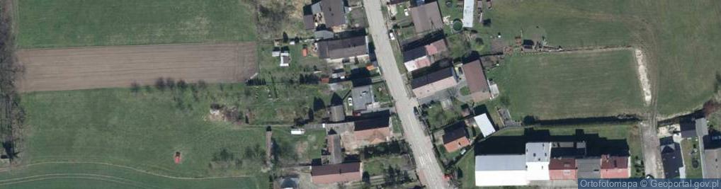 Zdjęcie satelitarne Transport Paliw i Handel Walter