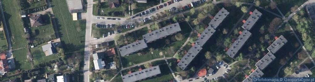 Zdjęcie satelitarne Transport Towarowy