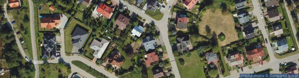 Zdjęcie satelitarne Transport Towarowy