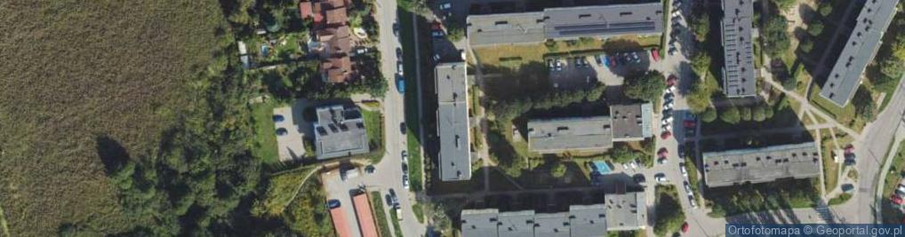 Zdjęcie satelitarne Transport Usługowy