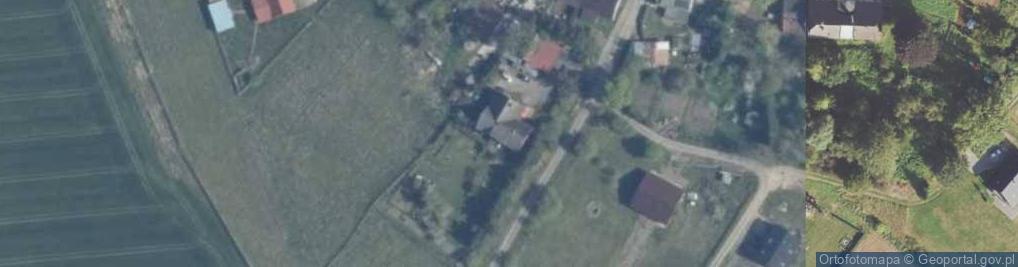 Zdjęcie satelitarne Transport Zarobkowy Samochodem Ciężarowym