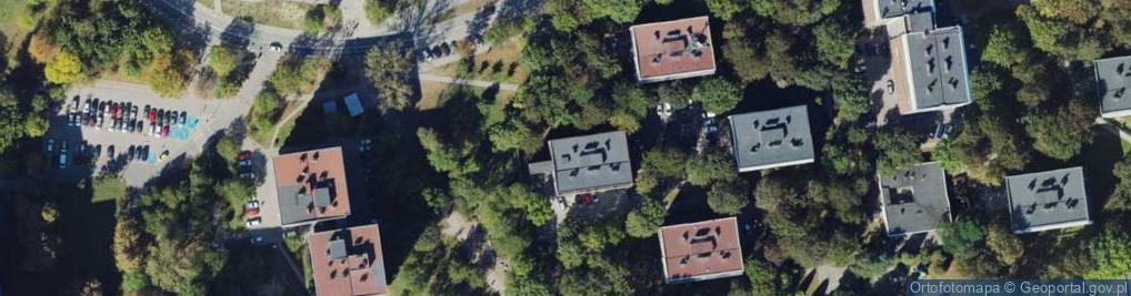 Zdjęcie satelitarne Trend Mariusz Pisera