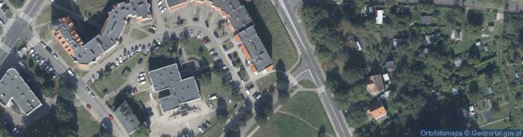 Zdjęcie satelitarne Trendy Magdalena Bober