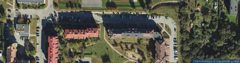 Zdjęcie satelitarne Trevo