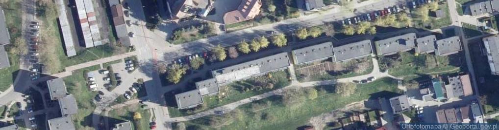 Zdjęcie satelitarne TSI