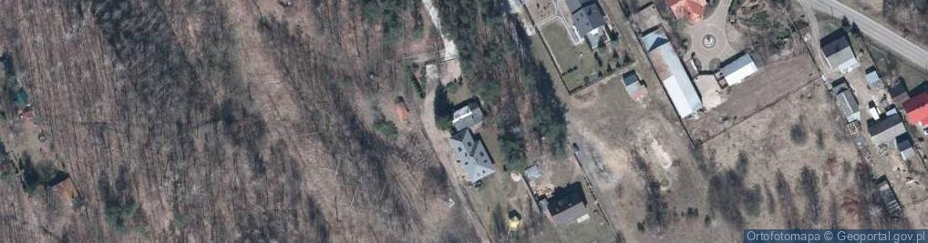 Zdjęcie satelitarne Tworus Robert Dragoss Wood