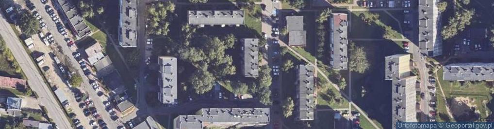 Zdjęcie satelitarne Tworzenie Sieci Marketingowej Gajewska Maria Jolanta