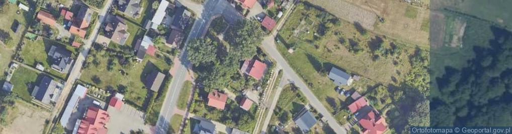 Zdjęcie satelitarne U Kruka Cytrusy Warzywa Owoce