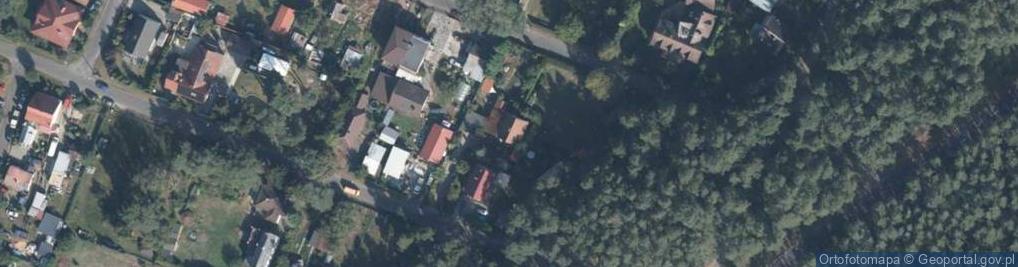 Zdjęcie satelitarne Universal Dog