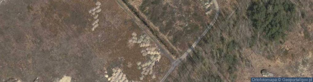 Zdjęcie satelitarne Unobrand Sp.j.