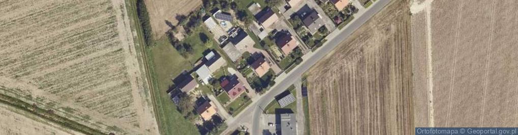 Zdjęcie satelitarne Uprawa Boczniaka Zofia Wolff