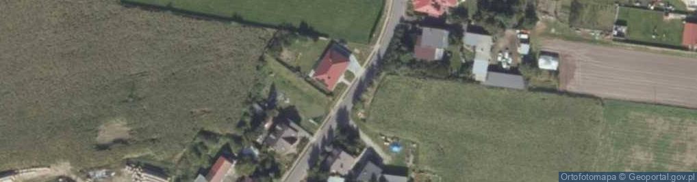 Zdjęcie satelitarne Uprawa Grzybów Krystyna Maćkowiak Lasocice