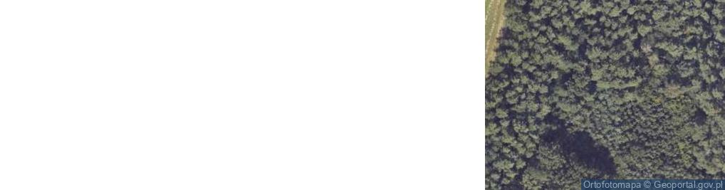 Zdjęcie satelitarne Uprawa Grzybów Marcin Grocholski