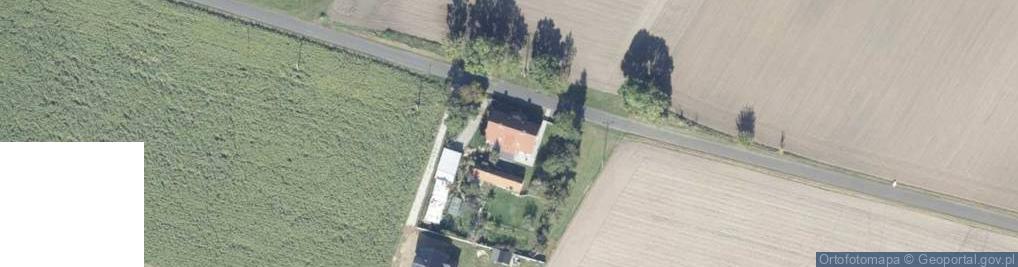 Zdjęcie satelitarne Uprawa Grzybów