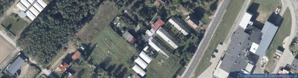 Zdjęcie satelitarne Uprawa Pieczarek Małgorzata Frąckowiak Kutzner Kębłowo