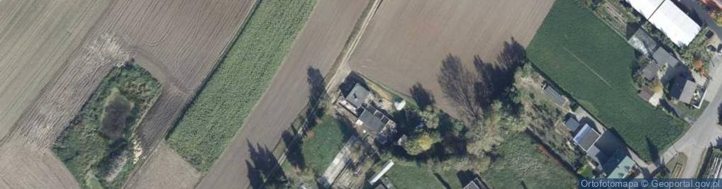 Zdjęcie satelitarne Uprawa Pieczarek Renata Larek