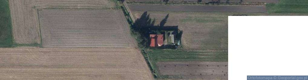 Zdjęcie satelitarne Uprawa Pieczarek Wiesław Patalas Kiełpiny