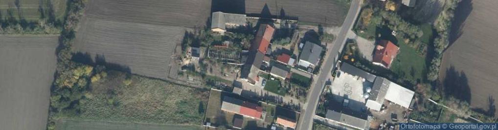 Zdjęcie satelitarne Uprawa Pomidorów Ryszard Styzinski Rogowo