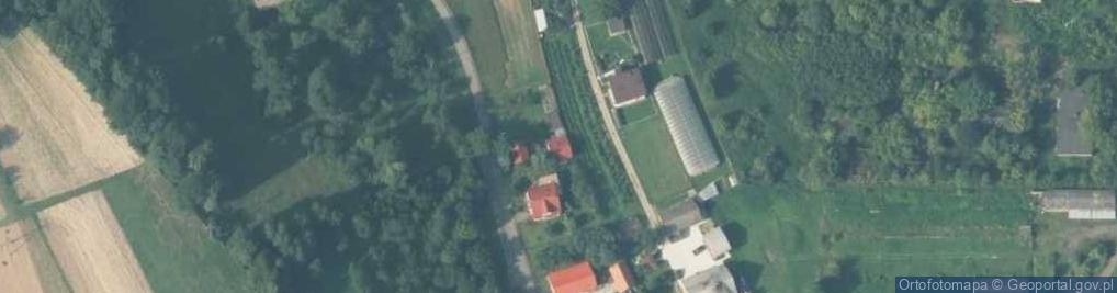 Zdjęcie satelitarne Uprawa Warzyw Białka Zofia