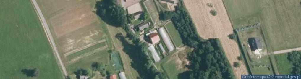 Zdjęcie satelitarne Uprawa Warzyw Bukowiec Kazimierz