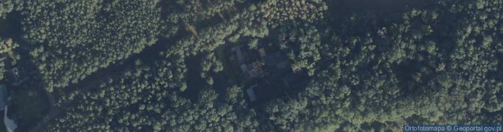 Zdjęcie satelitarne Uprawa Warzyw Grażyna Piechowiak