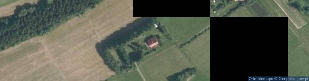 Zdjęcie satelitarne Uprawa Warzyw Witek Maria