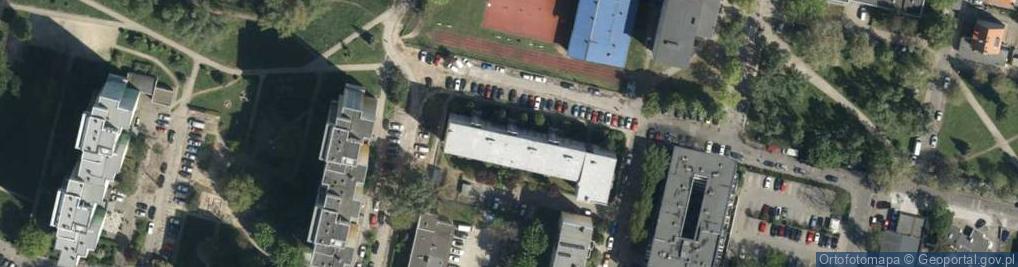 Zdjęcie satelitarne Urban Dog Jakub Nietubyć