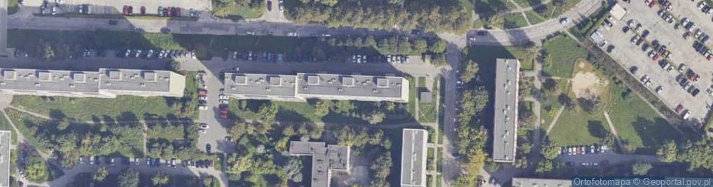 Zdjęcie satelitarne Uroda