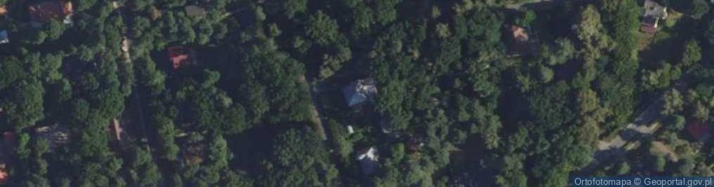 Zdjęcie satelitarne Usługi Biurowe